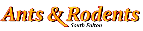 South Fulton Ant Exterminator & Rodent Control Company Logo